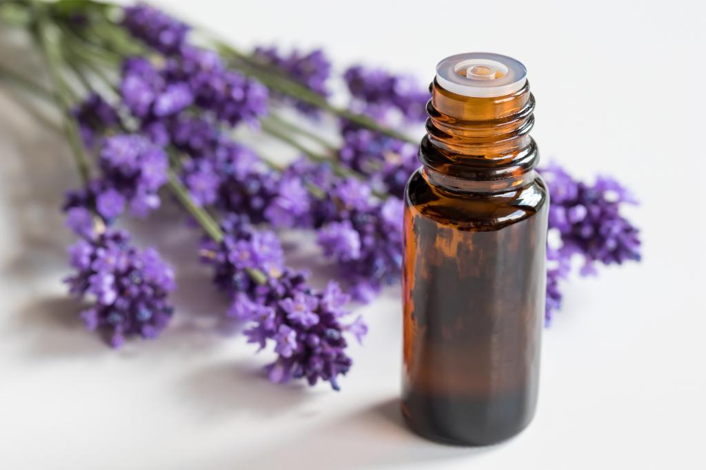 an image of lavender essential oils